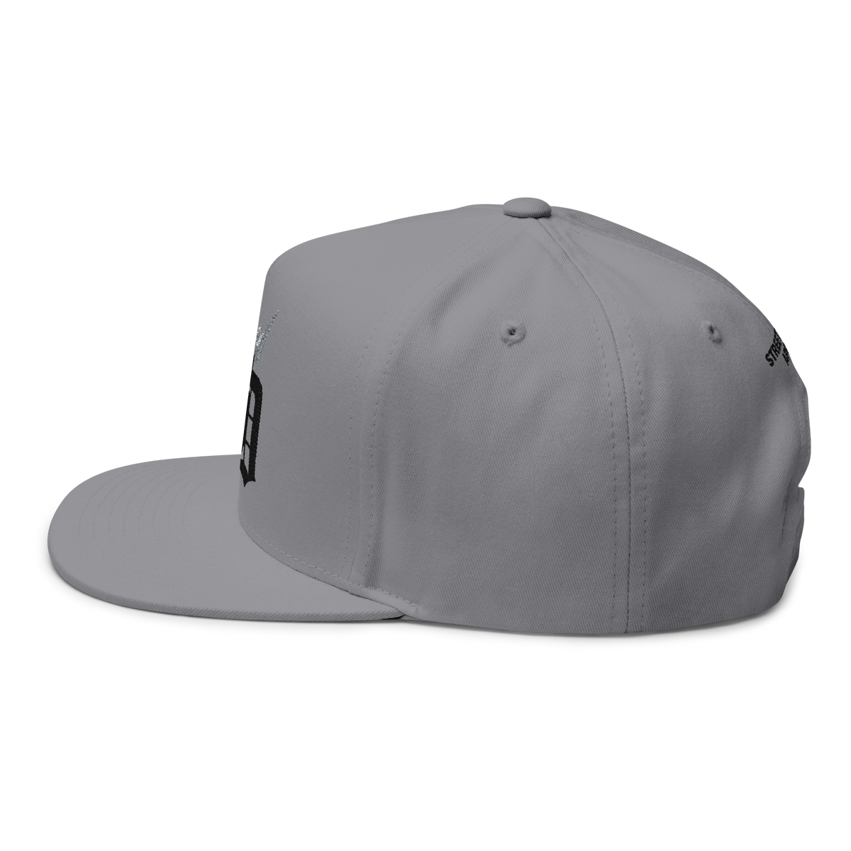 Classic Emblem Cap - Ashes ( Limited )