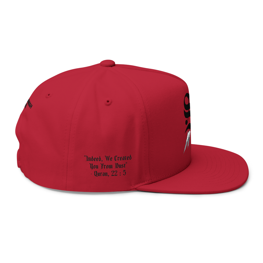 Classic Emblem Cap - Ashes ( Limited )